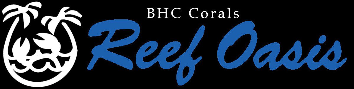 BHC Corals Reef Oasis